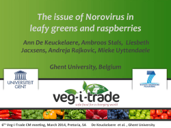 Norovirus in raspberries and risk assessment - Veg-i