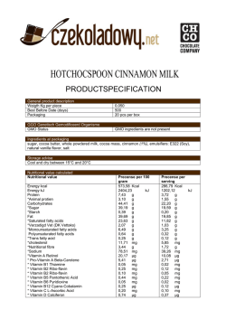 HOTCHOCSPOON CINNAMON MILK