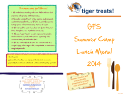 tiger_treats_files/tiger treats summer camp lunch menu