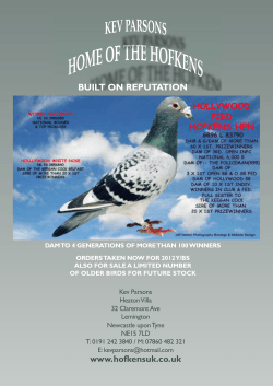 HOMEOFTHEHOFKENS - Portal • Pigeon Craic!