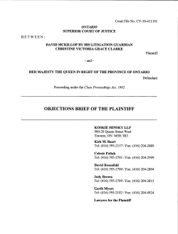 OBJECTIONS BRIEF OF THE PLAINTIFF