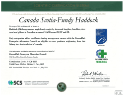 Certificate of compliance F-SCS-0026