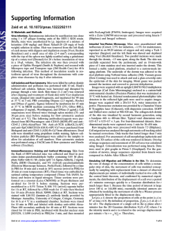 Download Supporting Information (PDF)