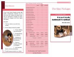 Our Spay Packages - Cross Creek Animal Hospital