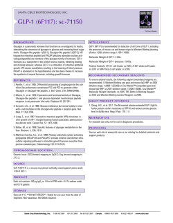GLP-1 (6F117): sc-71150 - Santa Cruz Biotechnology