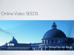 Online video seeds for temporal window objectness