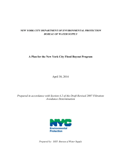 NYC Flood Buyout Program Plan - Delaware County Department of