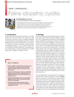 How I Approach... Feline Idiopathic Cystitis. In