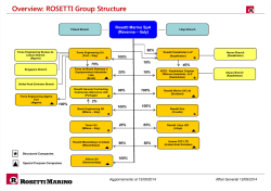 ROSETTI Group Structure Group Structure