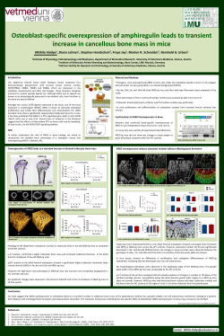 Download PDF - Bone Abstracts