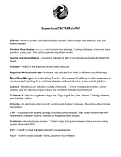 Superchem/CBC/T4/FeLV/FIV &ndash; feline panel