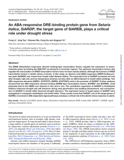 An ABA-responsive DRE-binding protein gene from Setaria italica