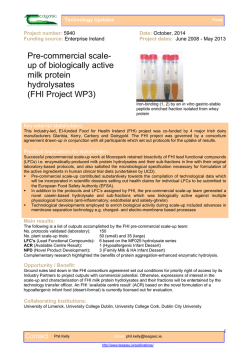 FHI Project WP3
