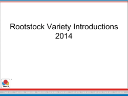 Rootstock Introductions