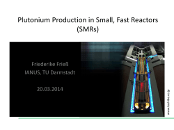 Plutonium Production in Small, Fast Reactors (SMRs)