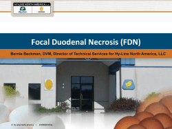 Focal Duodenal Necrosis (FDN)