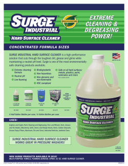 Revised SURGE Industrial Concentrates Sales Sheet 6 FNL.indd