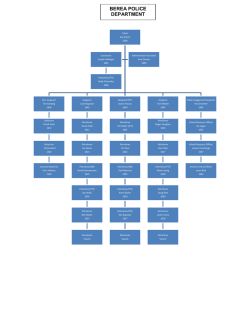 Police Department Organizational Chart