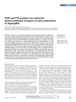 FHIP and FTS proteins are critical for dynein