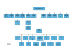 Group Corp Structure 31 July 2014 - Global