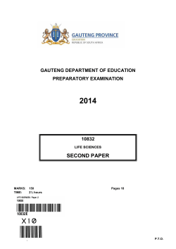 second paper