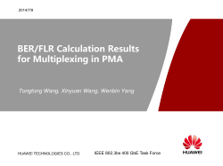 BER/FLR Calculation Results for Multiplexing in PMA