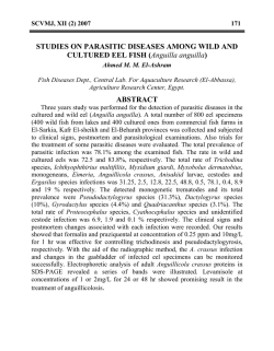 STUDIES ON PARASITIC DISEASES AMONG WILD AND