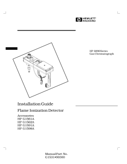 FID Flame Ionization Detector user guide