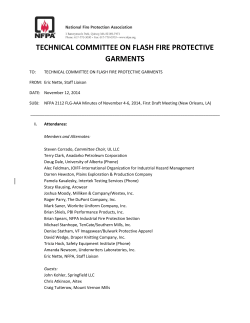 technical committee on flash fire protective garments