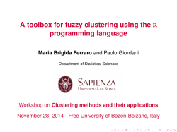 A toolbox for fuzzy clustering using the R programming language