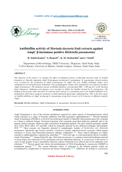 Antibiofilm activity of Morinda tinctoria fruit extracts against AmpC β