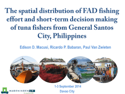 The Spatial Distribution of Fishing Effort and Short