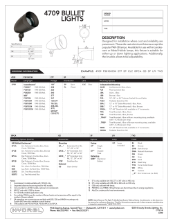 4709 BULLET LIGHTS