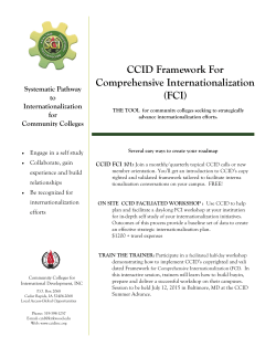 CCID Framework For Comprehensive Internationalization (FCI)