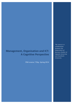 Management, Organisation and ICT: A Cognitive Perspective