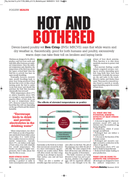 Hot and bothered. Devon-based poultry vet Ben