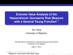 Extreme Value Analysis of the Haezendonck–Goovaerts Risk