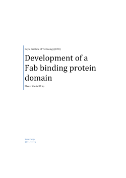 Development of a Fab binding protein domain