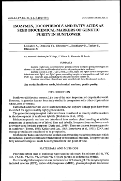 isozymes, tocopherols and fatty acids as seed biochemical