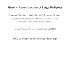 Genetic Reconstruction of Large Pedigrees