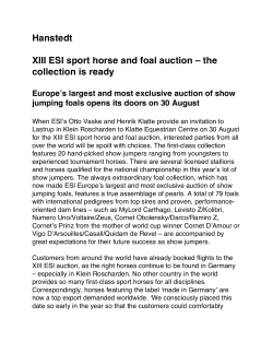 Hanstedt XIII ESI sport horse and foal auction – the collection is ready