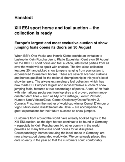 Hanstedt XIII ESI sport horse and foal auction &ndash; the collection is ready