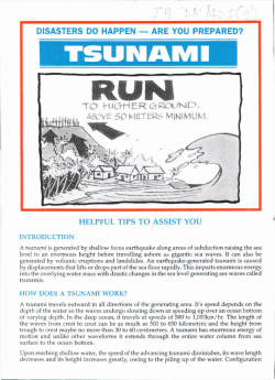 Tsunami - Pacific Disaster Net