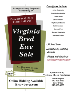 Virginia Bred Ewe Sale