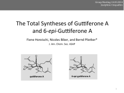 The Total Syntheses of Gulferone A and 6-‐epi