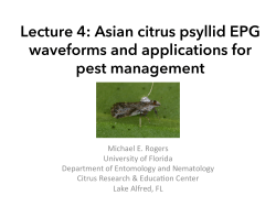 Lecture 4: Asian citrus psyllid EPG waveforms and applications for