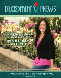 Download PDF - Original LA Flower Market