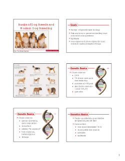 Dog genetics