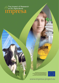 Impresa project flyer-web