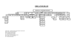 ORGANOGRAM - Mayo Hospital